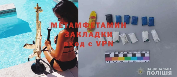 индика Козельск