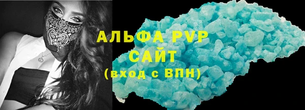 индика Козельск