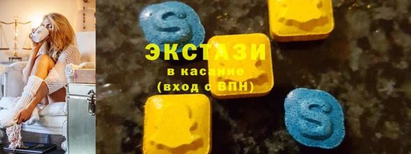 индика Козельск