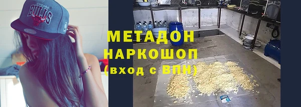 индика Козельск