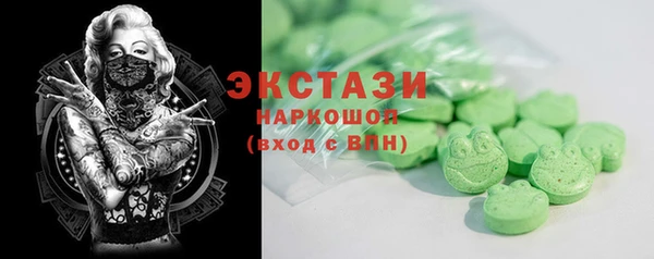 индика Козельск