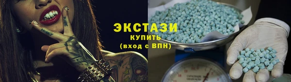 индика Козельск