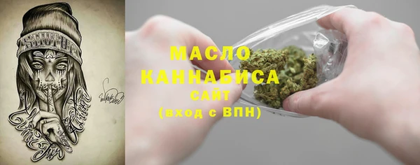 индика Козельск