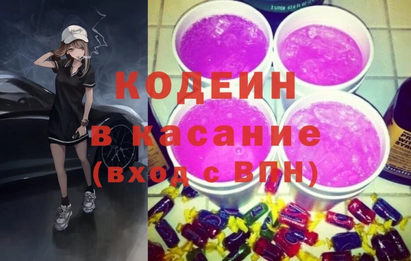 индика Козельск
