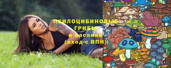 индика Козельск