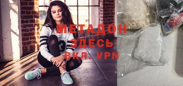 индика Козельск