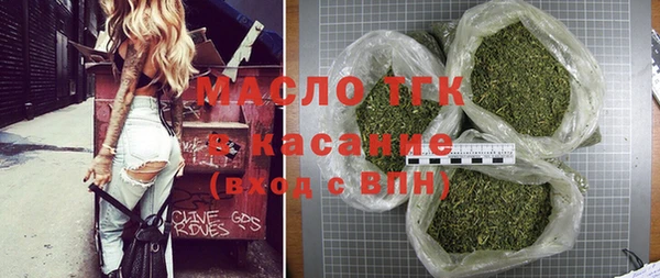 индика Козельск