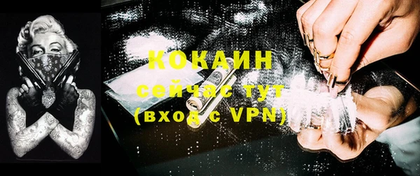 индика Козельск