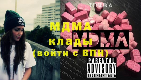 индика Козельск