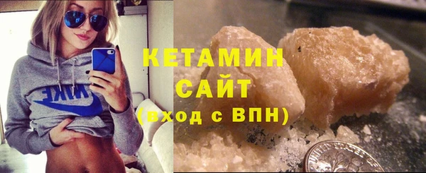 индика Козельск