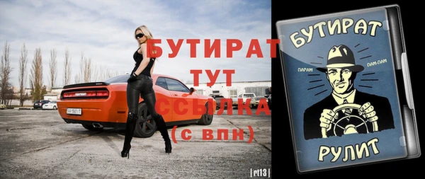 индика Козельск