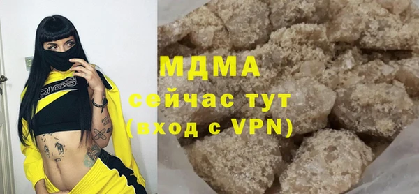 индика Козельск
