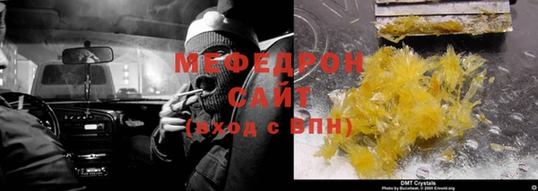 индика Козельск
