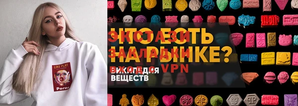 индика Козельск