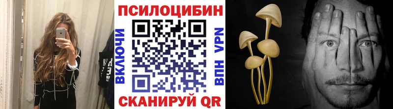 Галлюциногенные грибы Cubensis  закладка  Димитровград 
